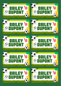 Sports Theme Sticker - Waterproof A4 Value Sheet